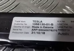 639623704 регулювання ременя безпеки Tesla Model 3 2019