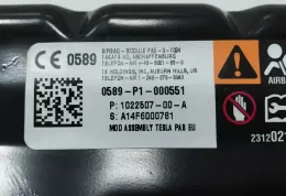 102259700A подушка безпеки пасажира Tesla Model S 2017