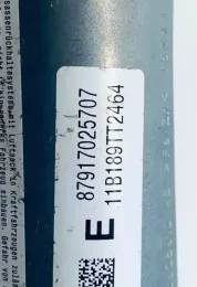 7025707 подушка безпеки сидіння BMW 5 F10 F11 2011