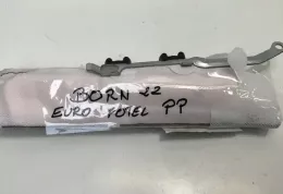 10E880242E подушка безпеки сидіння Cupra Born 2022
