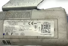 9Y0880442E подушка безпеки сидіння Porsche Cayenne (9Y0 9Y3) 2021