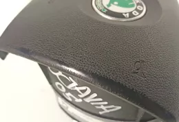 1Z0880201AM подушки безпеки Airbag на кермі Skoda Octavia Mk2 (1Z)
