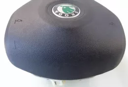 1Z0880201AC подушка безопасности Airbag на руле Skoda Octavia Mk2 (1Z)