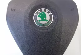 1Z0880201AC подушка безопасности Airbag на руле Skoda Octavia Mk2 (1Z)