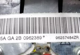 G5505962XX подушка безопасности Airbag на руле Peugeot 206