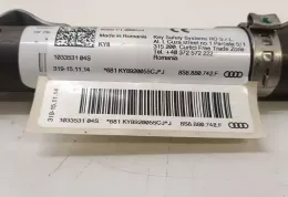 8S8880742F штора подушек безопасности Audi TT TTS RS Mk3 8S 2016