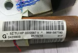 0220587V штора подушок безпеки Citroen C3 Picasso 2010