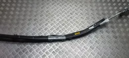 305332899ZZZ штора подушек безопасности Opel Vectra C 2004