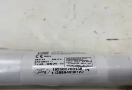 H1BBB042D95AD штора подушок безпеки Ford Fiesta 2019