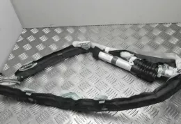 M3683 штора подушек безопасности Citroen C4 I Picasso 2008