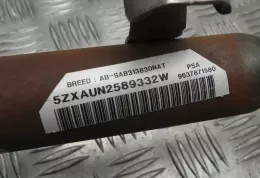 M4349 штора подушок безпеки Peugeot 307 2001