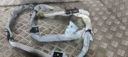 1013641961638 штора подушок безпеки Volkswagen PASSAT B6 2006