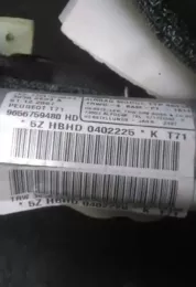 5ZHBHD0402225 штора подушок безпеки Peugeot 308 2007