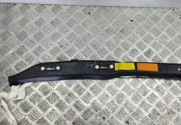 TRX30364858E штора подушок безпеки Maserati Quattroporte 2010