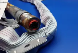 L62D6169160 штора подушек безопасности Lexus GS 300 350 430 450H 2007