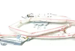 306656910AG штора подушек безопасности BMW 5 GT F07 2011