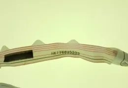 HKT76095593 штора подушек безопасности Toyota Camry 2007