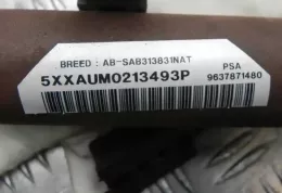 M4350 штора подушок безпеки Peugeot 307 2001