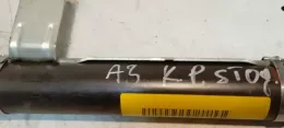 0483BL00196K штора подушок безпеки Audi A3 S3 8P 2004