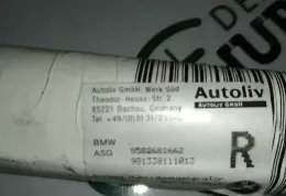 981338111013 штора подушок безпеки BMW 3 E46 2003
