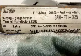 RBL68V30198 штора подушок безпеки Opel Zafira B 2006