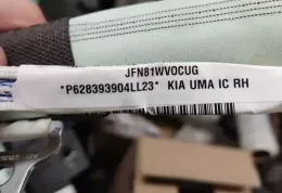 UMDSPP47CY0050 штора подушек безопасности KIA Sorento 2019