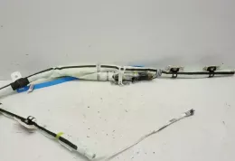 DM5114K158CD штора подушок безпеки Ford Focus 2014