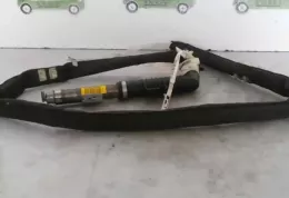 329503850861 штора подушек безопасности Renault Scenic II - Grand scenic II 2004