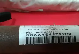 9853166080H штора подушок безпеки Peugeot 307
