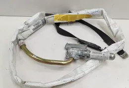 1187621 штора подушек безопасности BMW X5 E53 2005