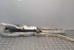 311882207Q43 штора подушок безпеки Toyota Prius (XW20) 2003