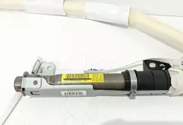 8200531160B штора подушек безопасности Renault Megane II 2006