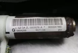 0303576A штора подушок безпеки Peugeot 207 2006