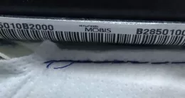 BAMPT11773 штора подушек безопасности KIA Soul 2014