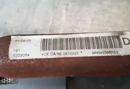 5222064 штора подушек безопасности Peugeot 407 2004