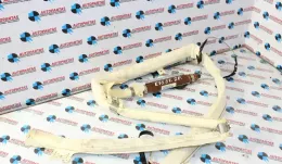 0ZB253TA00EZ штора подушок безпеки BMW X5 E70 2007