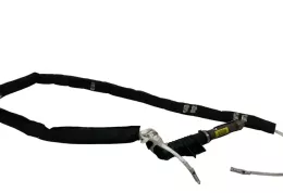 8200130499D штора подушок безпеки Renault Scenic II - Grand scenic II 2004