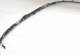 305421299ZZZAA штора подушек безопасности Opel Signum 2005