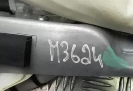 M3624 штора подушек безопасности Volkswagen Tiguan 2009