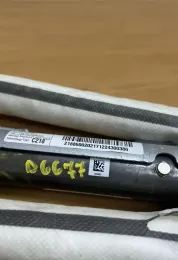 D6677 штора подушек безопасности Mercedes-Benz C W204 2008