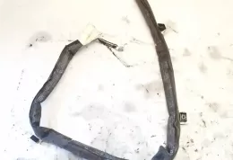 AVQT8VA06PAN штора подушок безпеки Toyota Yaris 2006