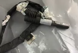 S101742825 штора подушек безопасности Fiat Punto Evo 2010