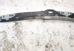 TKP305171299ZZZAA штора подушок безпеки Opel Signum 2003