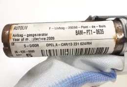 E509E325473U176 штора подушок безпеки Opel Astra H 2007