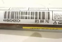 049NXDH02KKC штора подушок безпеки Audi A3 S3 8P 2000