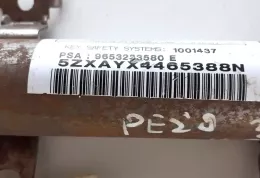 E509E343190U176 штора подушек безопасности Peugeot 307 2002