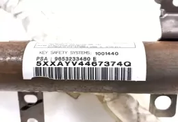 E509E313412U176 штора подушек безопасности Peugeot 307 2002