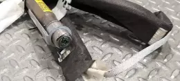 AYK376M029 штора подушек безопасности Renault Megane II 2005