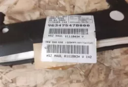 0005325E штора подушек безопасности Citroen C5 2004