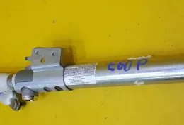 8569624 штора подушек безопасности BMW 5 E60 E61 2006